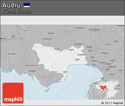 Gray 3D Map of Audru