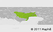 Physical Panoramic Map of Audru, lighten, desaturated