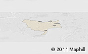 Shaded Relief Panoramic Map of Audru, lighten, desaturated