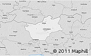 Silver Style 3D Map of Halinga