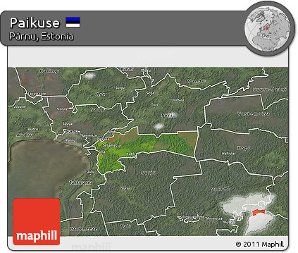 Satellite 3D Map of Paikuse, semi-desaturated
