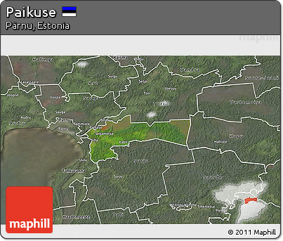 Satellite 3D Map of Paikuse, semi-desaturated