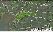 Satellite 3D Map of Paikuse, semi-desaturated