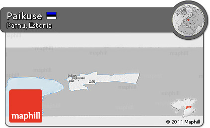 Gray Panoramic Map of Paikuse, single color outside