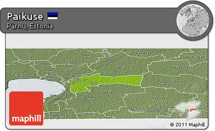 Physical Panoramic Map of Paikuse, semi-desaturated