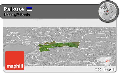 Satellite Panoramic Map of Paikuse, lighten, desaturated