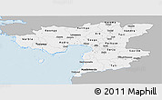 Gray Panoramic Map of Pärnu, single color outside