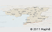 Shaded Relief Panoramic Map of Pärnu, lighten