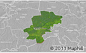 Satellite 3D Map of Saarde, lighten, desaturated