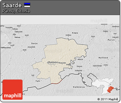 Shaded Relief 3D Map of Saarde, desaturated