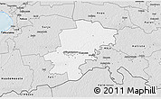 Silver Style 3D Map of Saarde