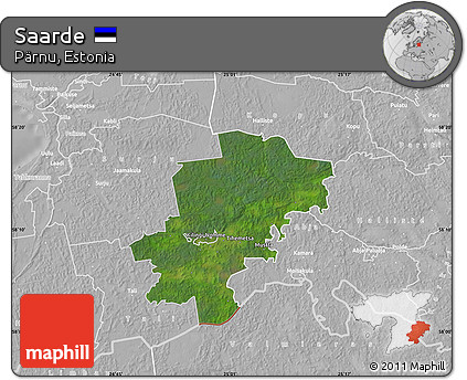 Satellite Map of Saarde, lighten, desaturated
