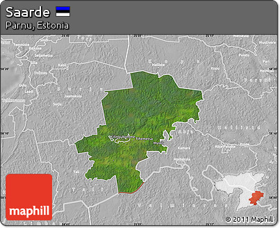 Satellite Map of Saarde, lighten, desaturated