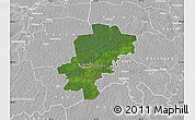 Satellite Map of Saarde, lighten, desaturated