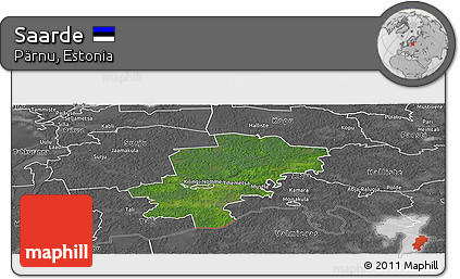 Satellite Panoramic Map of Saarde, desaturated