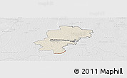 Shaded Relief Panoramic Map of Saarde, lighten, desaturated