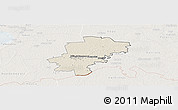 Shaded Relief Panoramic Map of Saarde, lighten