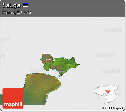 Satellite 3D Map of Sauga, single color outside