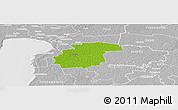 Physical Panoramic Map of Surju, lighten, desaturated