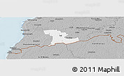 Gray Panoramic Map of Tali