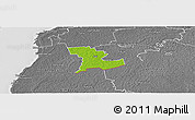 Physical Panoramic Map of Tali, desaturated
