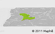 Physical Panoramic Map of Tali, lighten, desaturated