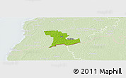 Physical Panoramic Map of Tali, lighten