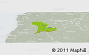Physical Panoramic Map of Tali, lighten, semi-desaturated