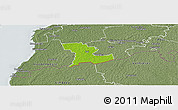 Physical Panoramic Map of Tali, semi-desaturated