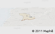 Shaded Relief Panoramic Map of Tali, lighten, semi-desaturated