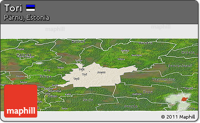 Shaded Relief Panoramic Map of Tori, satellite outside