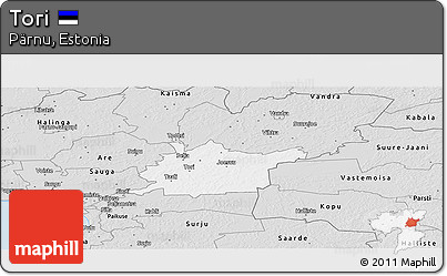 Silver Style Panoramic Map of Tori