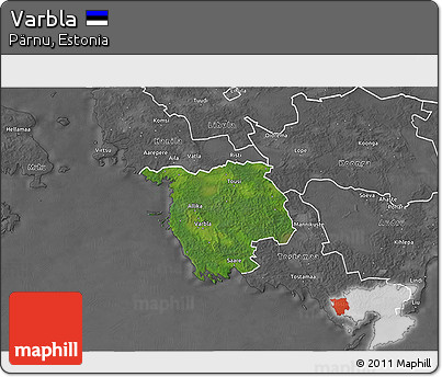 Satellite 3D Map of Varbla, desaturated