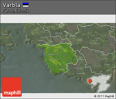 Satellite 3D Map of Varbla, semi-desaturated