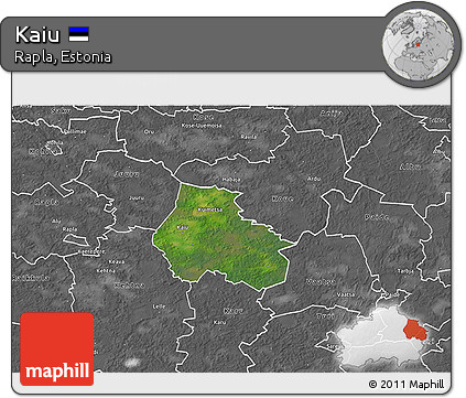 Satellite 3D Map of Kaiu, desaturated