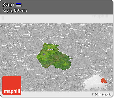 Satellite 3D Map of Kaiu, lighten, desaturated