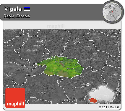Satellite 3D Map of Vigala, desaturated