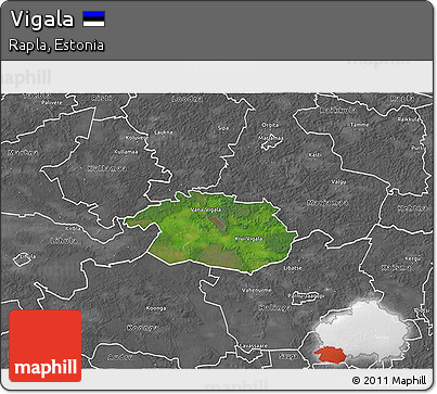 Satellite 3D Map of Vigala, desaturated
