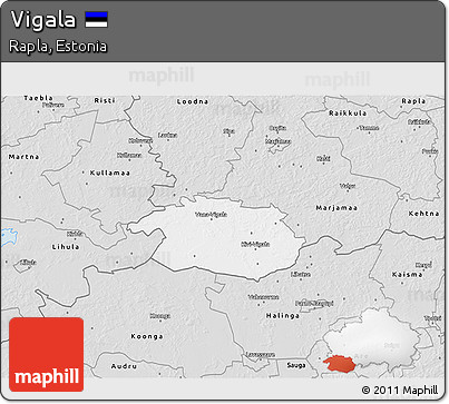 Silver Style 3D Map of Vigala