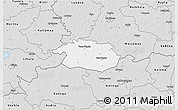 Silver Style 3D Map of Vigala