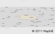 Shaded Relief Panoramic Map of Vigala, desaturated
