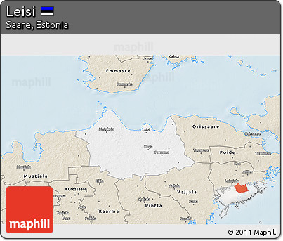 Classic Style 3D Map of Leisi