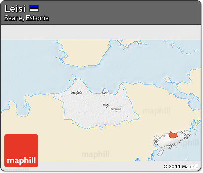 Classic Style 3D Map of Leisi, single color outside
