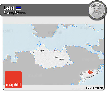 Gray 3D Map of Leisi, single color outside