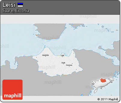 Gray 3D Map of Leisi, single color outside