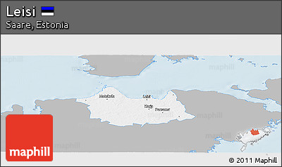 Gray Panoramic Map of Leisi, single color outside