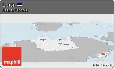 Gray Panoramic Map of Leisi, single color outside
