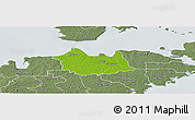 Physical Panoramic Map of Leisi, semi-desaturated