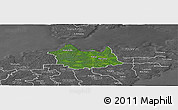 Satellite Panoramic Map of Leisi, desaturated