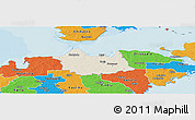 Shaded Relief Panoramic Map of Leisi, political outside